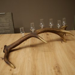 Schnapsanbieter 6 x kleine Gläser Steckglas mit Stiel auf Rothirschstange Geschenk 27.60.2.92