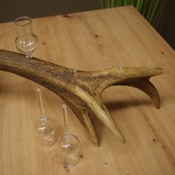 Schnapsanbieter 6 x kleine Gläser Steckglas mit Stiel auf Rothirschstange Geschenk 27.60.2.92