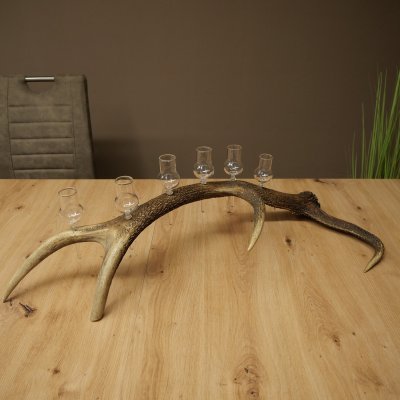Schnapsanbieter 6 x kleine Gläser Steckglas mit Stiel auf Rothirschstange Geschenk 27.60.2.93