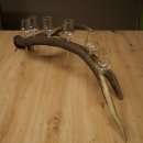 Schnapsanbieter 6 x kleine Gläser Steckglas mit Stiel auf Rothirschstange Geschenk 27.60.2.93