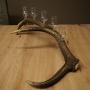 Schnapsanbieter 6 x kleine Gläser Steckglas mit Stiel auf Rothirschstange Geschenk 27.60.2.93