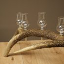Schnapsanbieter 6 x kleine Gläser Steckglas mit Stiel auf Rothirschstange Geschenk 27.60.2.93