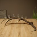 Schnapsanbieter 6 x kleine Gläser Steckglas mit Stiel auf Rothirschstange Geschenk 27.60.2.93