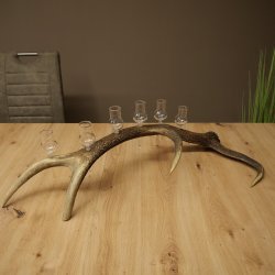 Schnapsanbieter 6 x kleine Gläser Steckglas mit Stiel auf Rothirschstange Geschenk 27.60.2.93