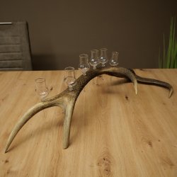 Schnapsanbieter 6 x kleine Gläser Steckglas mit Stiel auf Rothirschstange Geschenk 27.60.2.93