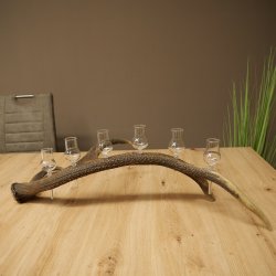 Schnapsanbieter 6 x kleine Gläser Steckglas mit Stiel auf Rothirschstange Geschenk 27.60.2.93