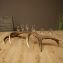 Schnapsanbieter 6 x kleine Gläser Steckglas mit...
