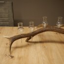 Schnapsanbieter 6 x kleine Gläser Steckglas mit Stiel auf Rothirschstange Geschenk 27.60.2.94