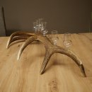 Schnapsanbieter 6 x kleine Gläser Steckglas mit Stiel auf Rothirschstange Geschenk 27.60.2.94