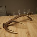Schnapsanbieter 6 x kleine Gläser Steckglas mit Stiel auf Rothirschstange Geschenk 27.60.2.94