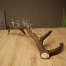 Schnapsanbieter 6 x kleine Gläser Steckglas mit Stiel auf Rothirschstange Geschenk 27.60.2.94