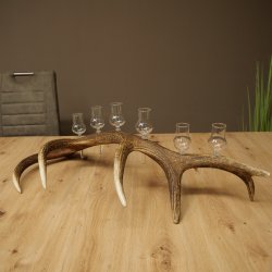 Schnapsanbieter 6 x kleine Gläser Steckglas mit Stiel auf Rothirschstange Geschenk 27.60.2.94