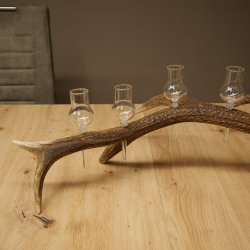 Schnapsanbieter 6 x kleine Gläser Steckglas mit Stiel auf Rothirschstange Geschenk 27.60.2.94