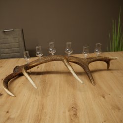 Schnapsanbieter 6 x kleine Gläser Steckglas mit Stiel auf Rothirschstange Geschenk 27.60.2.94