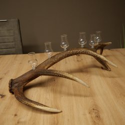 Schnapsanbieter 6 x kleine Gläser Steckglas mit Stiel auf Rothirschstange Geschenk 27.60.2.94