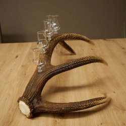 Schnapsanbieter 6 x kleine Gläser Steckglas mit Stiel auf Rothirschstange Geschenk 27.60.2.94