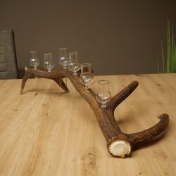 Schnapsanbieter 6 x kleine Gläser Steckglas mit Stiel auf Rothirschstange Geschenk 27.60.2.94