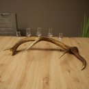 Vendedor de licores: 5 vasitos de cristal con pie, con un...