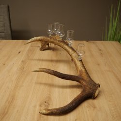 Set da liquore: 5 bicchierini con stelo su un corno di cervo rosso - Regalo 27.60.2.95