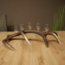 Vendedor de licores: 5 vasitos de cristal con pie, con un cuerno de ciervo rojo, regalo 27.60.2.100