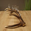 Schnapsanbieter 5 x kleine Gläser Steckglas mit Stiel auf Rothirschstange Geschenk 27.60.2.101
