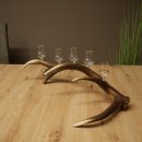 Schnapsanbieter 5 x kleine Gläser Steckglas mit Stiel auf Rothirschstange Geschenk 27.60.2.101