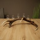Schnapsanbieter 5 x kleine Gläser Steckglas mit Stiel auf Rothirschstange Geschenk 27.60.2.101