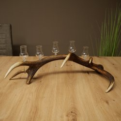 Schnapsanbieter 5 x kleine Gläser Steckglas mit Stiel auf Rothirschstange Geschenk 27.60.2.101