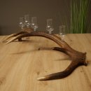 Lot de 5 petits verres à schnaps avec pied, présentés sur un support en bois de cerf rouge - Cadeau 27.60.2.102