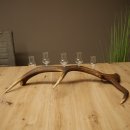 Lot de 5 petits verres à schnaps avec pied, présentés sur un support en bois de cerf rouge - Cadeau 27.60.2.102