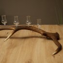 Lot de 5 petits verres à schnaps avec pied, présentés sur un support en bois de cerf rouge - Cadeau 27.60.2.102