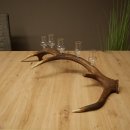 Lot de 5 petits verres à schnaps avec pied, présentés sur un support en bois de cerf rouge - Cadeau 27.60.2.102