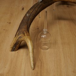 Lot de 5 petits verres à schnaps avec pied, présentés sur un support en bois de cerf rouge - Cadeau 27.60.2.102