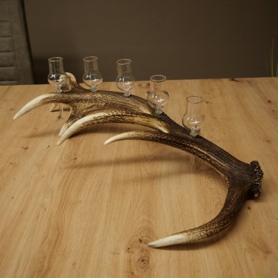 Fournisseur dalcool : lot de 5 petits verres à pied présentés sur un support en bois de cerf rouge - Cadeau 27.60.2.96