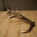 Fournisseur dalcool : lot de 5 petits verres à pied présentés sur un support en bois de cerf rouge - Cadeau 27.60.2.96