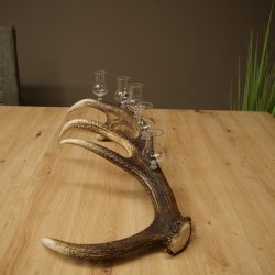 Fournisseur dalcool : lot de 5 petits verres à pied présentés sur un support en bois de cerf rouge - Cadeau 27.60.2.96