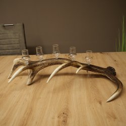 Fournisseur dalcool : lot de 5 petits verres à pied présentés sur un support en bois de cerf rouge - Cadeau 27.60.2.96