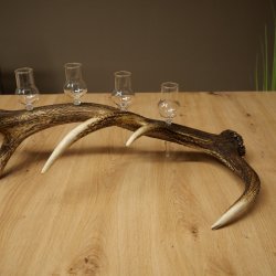 Fournisseur dalcool : lot de 5 petits verres à pied présentés sur un support en bois de cerf rouge - Cadeau 27.60.2.96