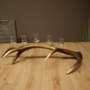 Liqueur Set: 5 Small Stemmed Glasses on a Red Deer Antler Stand – Gift Set 27.60.2.97