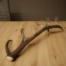 Liqueur Set: 5 Small Stemmed Glasses on a Red Deer Antler Stand – Gift Set 27.60.2.97