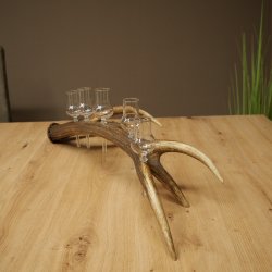 Liqueur Set: 5 Small Stemmed Glasses on a Red Deer Antler Stand – Gift Set 27.60.2.97