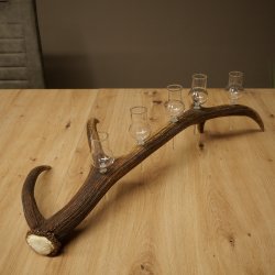 Liqueur Set: 5 Small Stemmed Glasses on a Red Deer Antler Stand – Gift Set 27.60.2.97