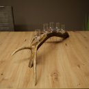 Liqueur Set: 5 Small Stemmed Glasses on a Red Deer Antler Stand – Gift 27.60.2.98