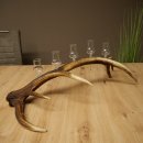 Liqueur Set: 5 Small Stemmed Glasses on a Red Deer Antler Stand – Gift Set 27.60.2.99