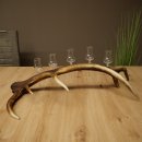Liqueur Set: 5 Small Stemmed Glasses on a Red Deer Antler Stand – Gift Set 27.60.2.99