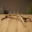 Liqueur Set: 5 Small Stemmed Glasses on a Red Deer Antler Stand – Gift Set 27.60.2.99
