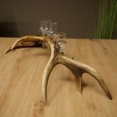 Liqueur Set: 5 Small Stemmed Glasses on a Red Deer Antler Stand – Gift Set 27.60.2.99