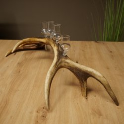 Liqueur Set: 5 Small Stemmed Glasses on a Red Deer Antler Stand – Gift Set 27.60.2.99