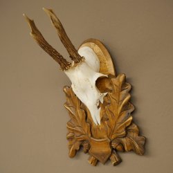 Chevreuil mâle, bois de chevreuil, bois de chevreuil mâle sur un panneau de trophée sculpté 604.175