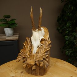 Chevreuil mâle, bois de chevreuil, bois de chevreuil mâle sur un panneau de trophée sculpté 604.175